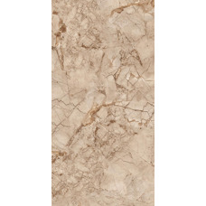 Керамогранит коричневый глянцевый - Exotic Brown 120х60 см Керамогранит коричневый глянцевый - Exotic Brown 120х60 см