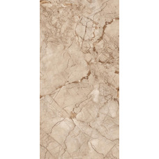 Керамогранит коричневый глянцевый - Exotic Brown 120х60 см Керамогранит коричневый глянцевый - Exotic Brown 120х60 см