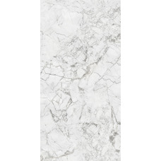 Керамогранит белый глянцевый - Exotic Silver 120х60 см