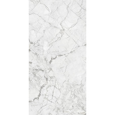 Керамогранит белый глянцевый - Exotic Silver 120х60 см